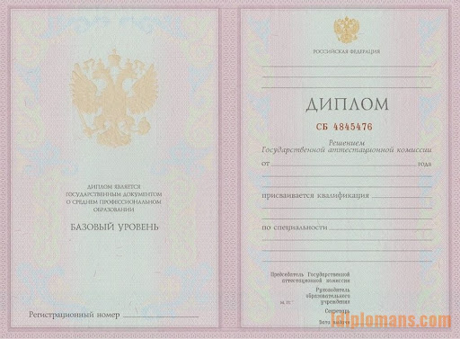 Где и как диплом бакалавра купить советы и рекомендации